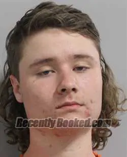 Booking photo from Polk County, Florida