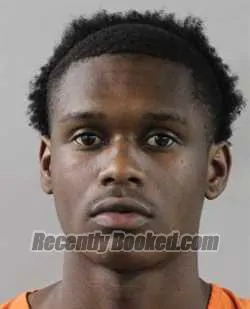 Booking photo from Polk County, Florida