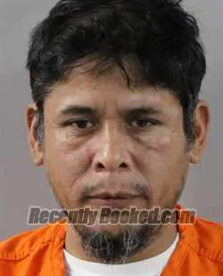 Booking photo from Polk County, Florida
