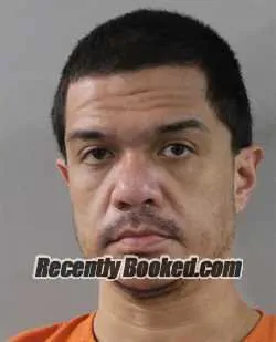 Booking photo from Polk County, Florida