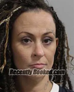 Booking photo from Polk County, Florida