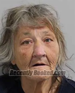 Booking photo from Polk County, Florida