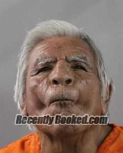 Booking photo from Polk County, Florida