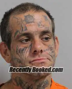 Booking photo from Polk County, Florida