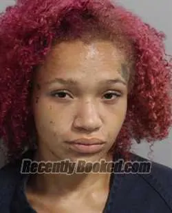 Booking photo from Polk County, Florida