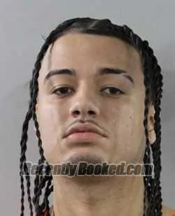 Booking photo from Polk County, Florida