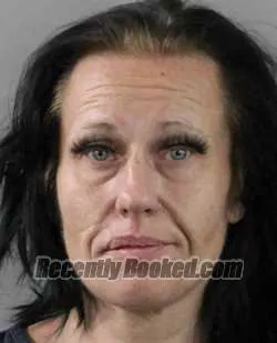 Booking photo from Polk County, Florida