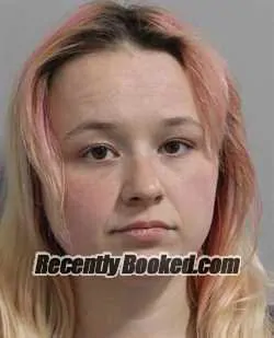 Booking photo from Polk County, Florida