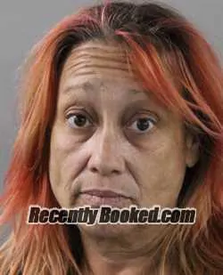 Booking photo from Polk County, Florida