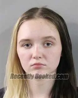 Booking photo from Polk County, Florida