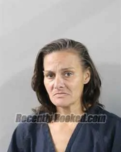 Booking photo from Polk County, Florida