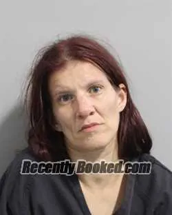 Booking photo from Polk County, Florida