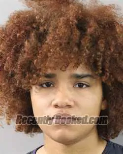 Booking photo from Polk County, Florida