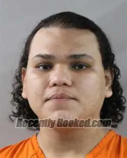 Booking photo from Polk County, Florida