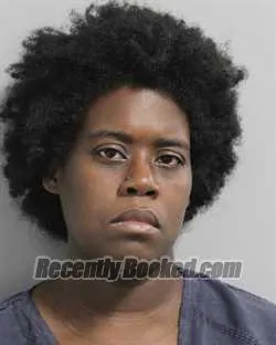 Booking photo from Polk County, Florida