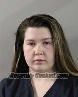 Booking photo from Polk County, Florida