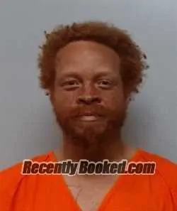 Booking photo from Polk County, Florida