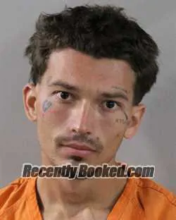 Booking photo from Polk County, Florida