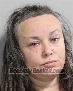 Booking photo from Polk County, Florida