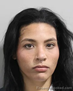 Booking photo from Polk County, Florida