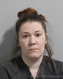 Booking photo from Polk County, Florida