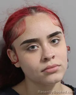 Booking photo from Polk County, Florida