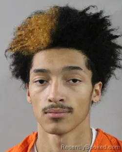 Booking photo from Polk County, Florida