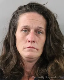 Booking photo from Polk County, Florida