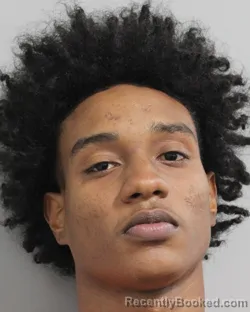 Booking photo from Polk County, Florida