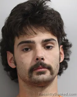 Mugshot of AUSTIN LEWIS