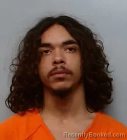 Mugshot of ORLANDO CANO