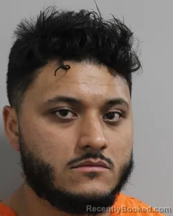 Mugshot of BRANDON VERAS