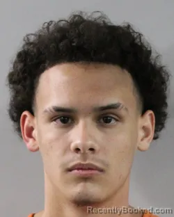 Booking photo from Polk County, Florida