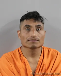Mugshot of MARIO MORALES-PATISHTAN