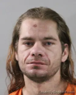 Mugshot of TRAVIS LOWERY