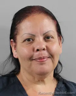 Mugshot of CINTHIA SANTIAGO