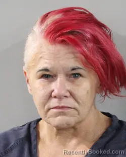 Mugshot of TANYA BAKER