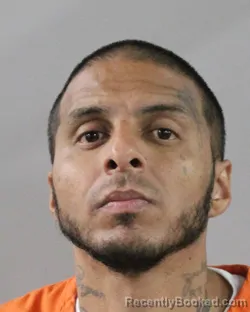 Mugshot of NICHOLAS GOTTFRIED