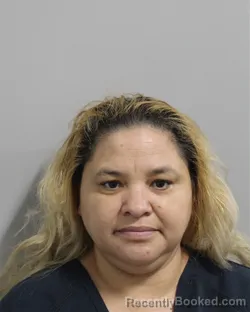 Mugshot of RAMONA BUENO FIERRO