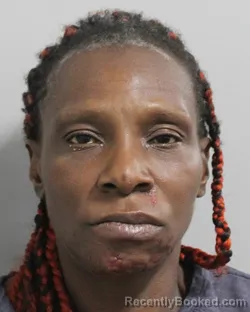 Booking photo from Polk County, Florida