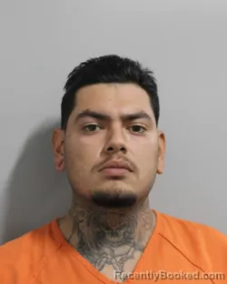 Mugshot of RAMON LUNA