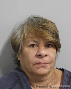 Mugshot of RENEE PHILLIPS