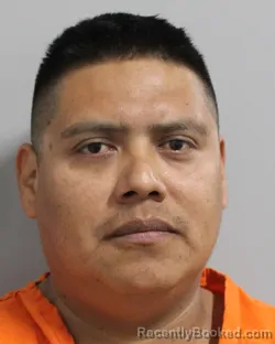 Mugshot of LUIS RAMIREZ RAMIREZ
