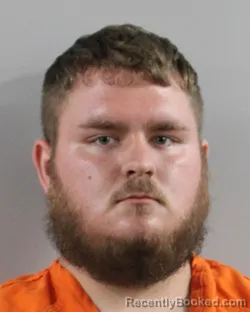 Mugshot of MICHAEL FANNIN