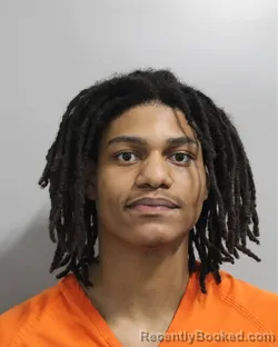 Mugshot of STEPHANELY JANVIER