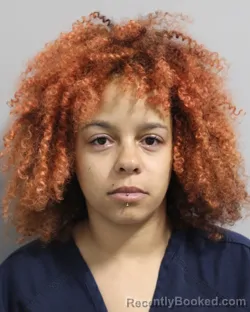 Mugshot of DEANNA OLIN