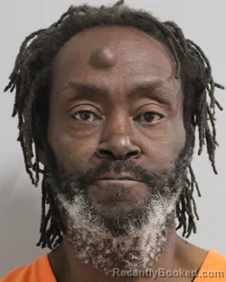 Mugshot of DAVID LONDON