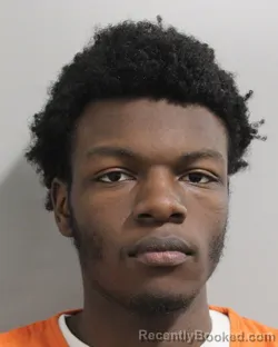 Mugshot of JADEN WILLIAMS