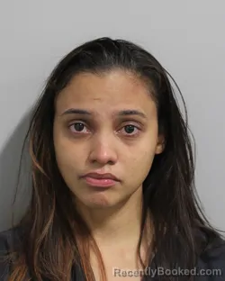 Mugshot of YARLENEE RODRIGUEZ ROBLES