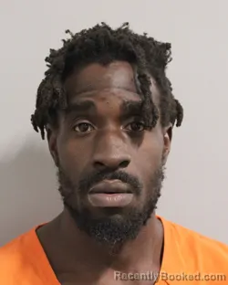 Mugshot of DANIQUE ROSIUS